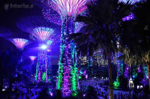 Singapur