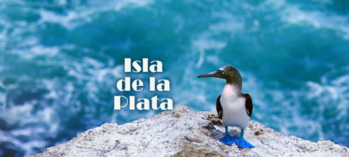 isla de la plata