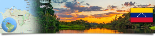 wenezuela baner