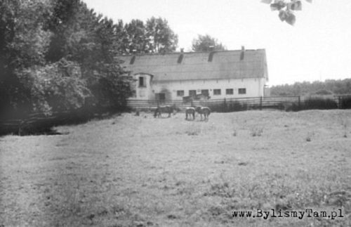 Mazury 1994
