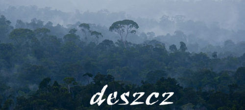 deszcz