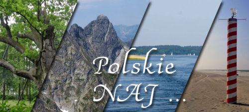 Polskie naj