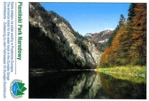 2006 pieninski