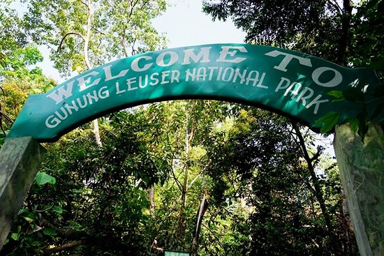 Gunung Leuser National Park