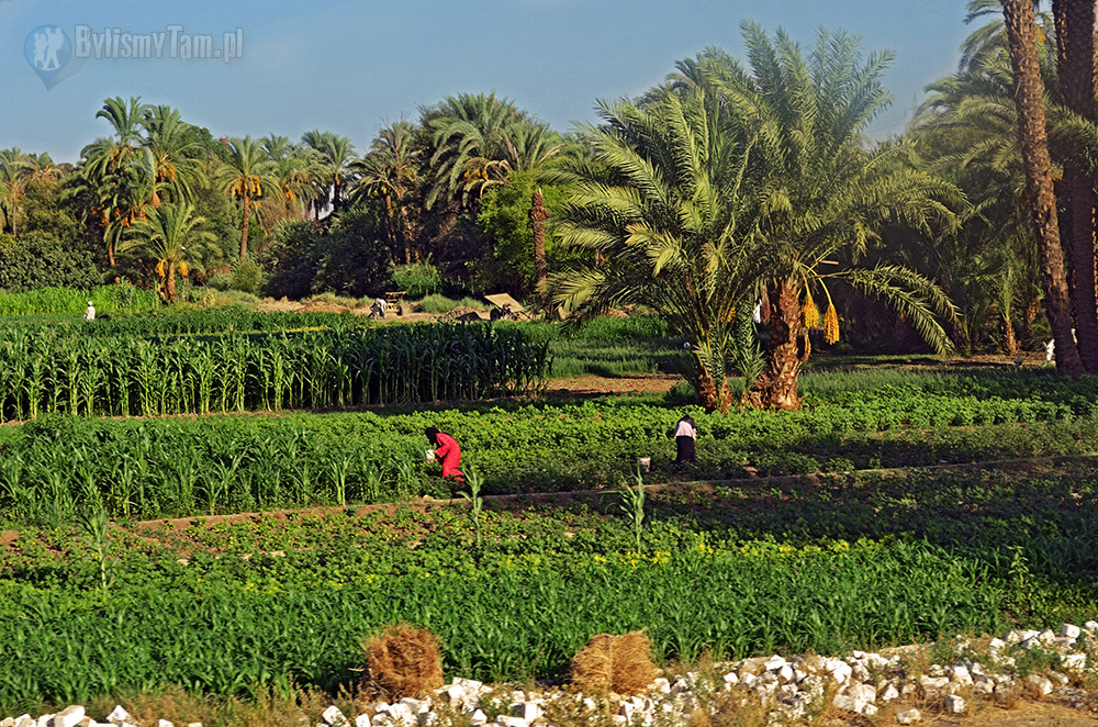 okolice Luksoru