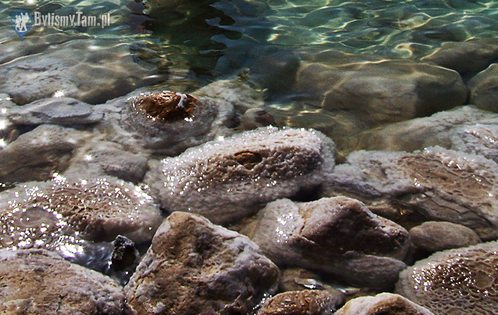 Krysztłki soli oblepiają wszytko wokół Morza Martwego