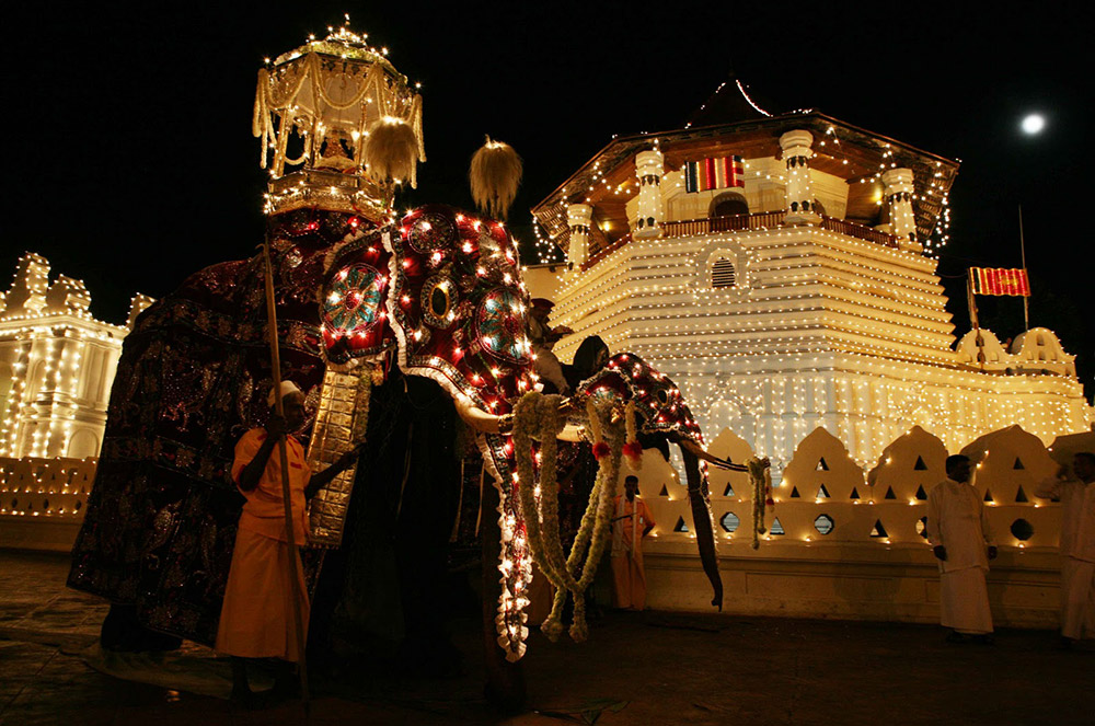 Słoń paradny Raja w Kandy
