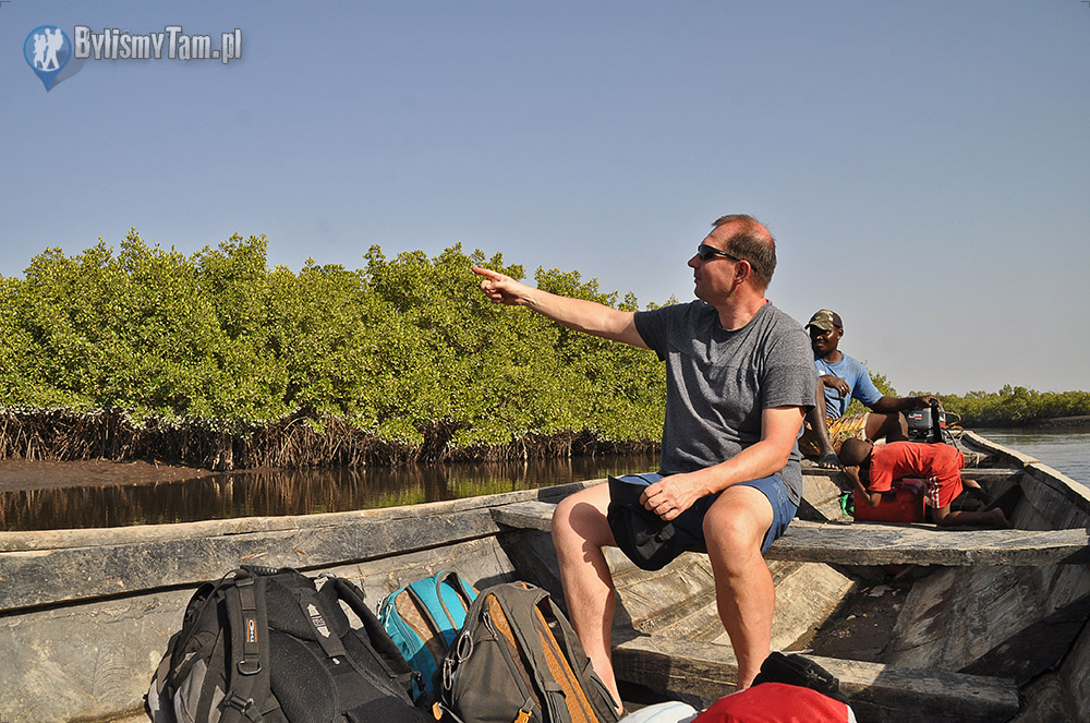 Rozlewisko u ujścia rzeki Gambia do morze - Niumi National Park