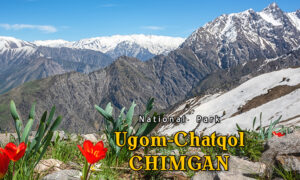 chorwag