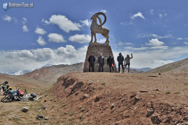 Owca Marco Polo czyli Owca dzika - symbol Pamiru - Przełęcz Kyzyl-Art (4282 m n.p.m.)