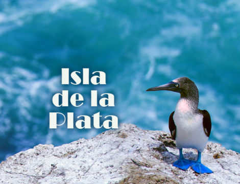 Isla de la Plata czyli Galapagos dla ubogich?