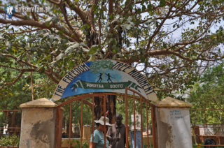 Janjanbureh - Foroyaa Sooto - Freedom Tree