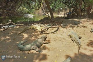 Kachikally Crocodile Pool