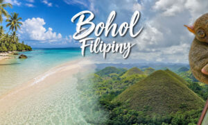 Bohol – Filipiny – co zobaczyć, jak zwiedzać?